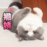 xnnchch