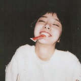 小狗碎冰冰