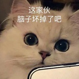 寻求快乐的小y