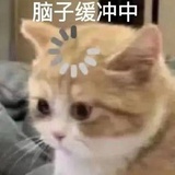一颗奥美拉唑