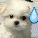 我不是我
