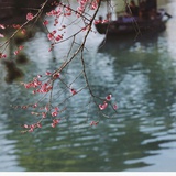 小鱼vv