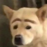 乱码