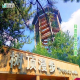 奥利嘟嘟