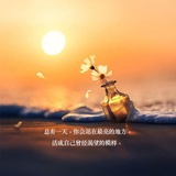 阳光向日葵