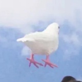 更更