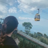 素粥