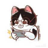 努力赚钱的猫