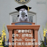 ban我昵称做甚