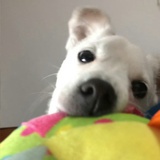 生活求放过
