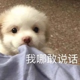 别看了