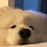 997不想被知道