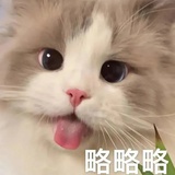 冬橘