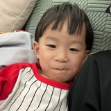夏茶