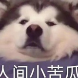 嘎嘣嘎嘣