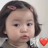 皓衣乘白鸾
