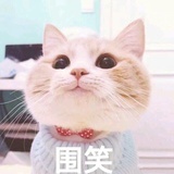 嘟嘟哦