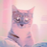S.