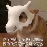 Z灬