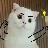 上山打老虎
