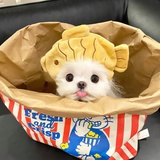 已注销
