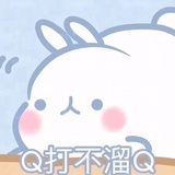 一只熊
