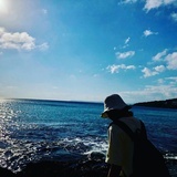 Leia叶