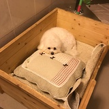 酱子小姐是美娜
