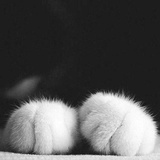 风中涧