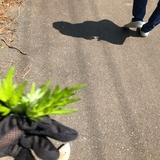 两土三水一寸心