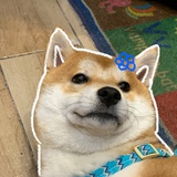少管我