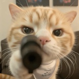 mmoo