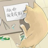 人生体验家