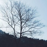 小安