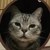 太阳以西