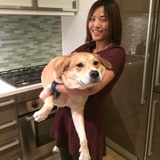 九小沐