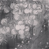 树大