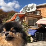 金煤炭
