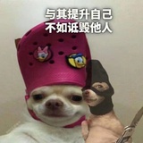 阿富汗小美女
