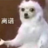 黑豹女士