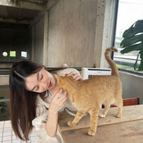 冮湖骗子