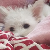 生活混子