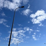 一枝桃