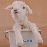 小面