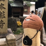 去冰莓莓果茶