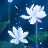 芸淡风轻