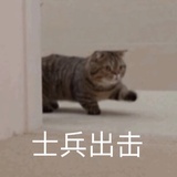 猕猴桃