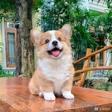 比利比利破破