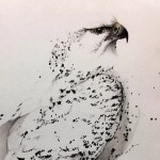 课代表