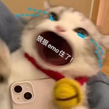 战斗喵